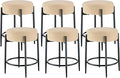 Dining Room Chairs Set of 6, 23.6" Sherpa Backless Beige Boucle Dining Chair by Viroformo