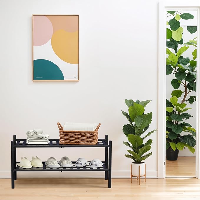 Haddockway 2 Tier Bamboo Shoe Rack Storage Organizer, Small Space 27"x11"x13" - Image 2