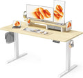 55x24 Inches Electric Standing Desk by WALKINGDESK