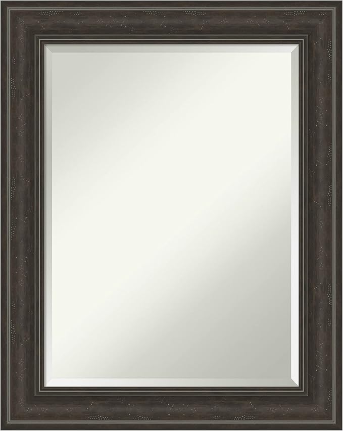 Amanti Art Brown Bathroom Mirror by AmantiArt