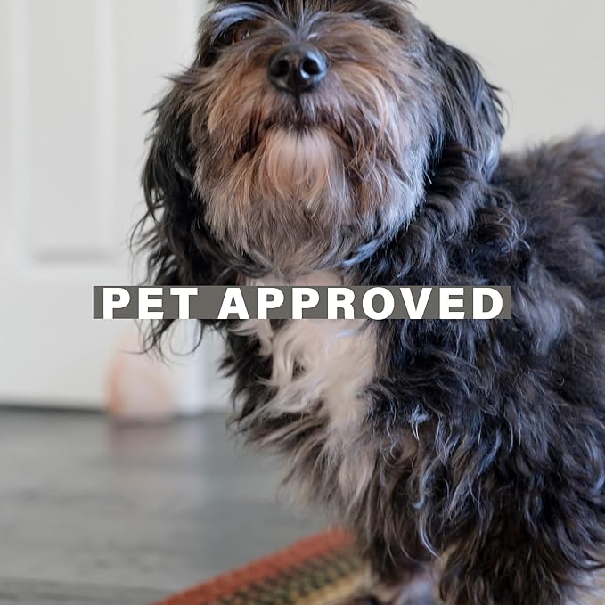 Highland Multicolor Jute Braided Area Rug, 6x9' Rectangle - Image 3