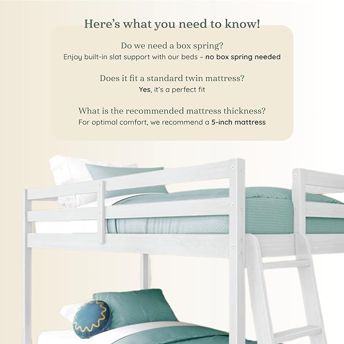 Grain & Grove Bear Twin Over Twin Bunk Bed, Low Bunk Bed Frame - Image 5