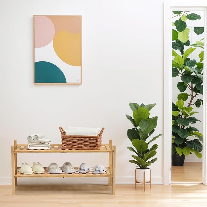 Haddockway 2 Tier Bamboo Shoe Rack Storage Organizer, Small Space 27"x11"x13" - Image 2
