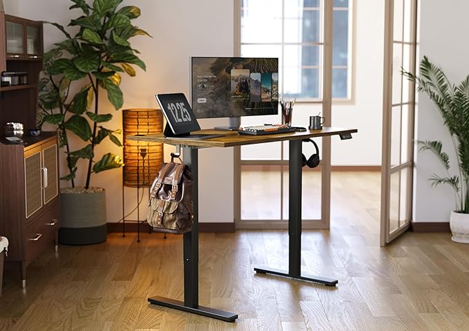 Seang Standing Desk with Adjustable Height, 48x24 Inch Electric Stand Up Desk - Image 2
