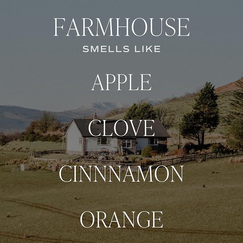 Sweet Water Decor Farmhouse Sandstone Reed Diffuser, Fall Scent - Image 2