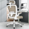 FelixKing Ergonomic Office Chair, Headrest Desk Chair Office Chair by FelixKing
