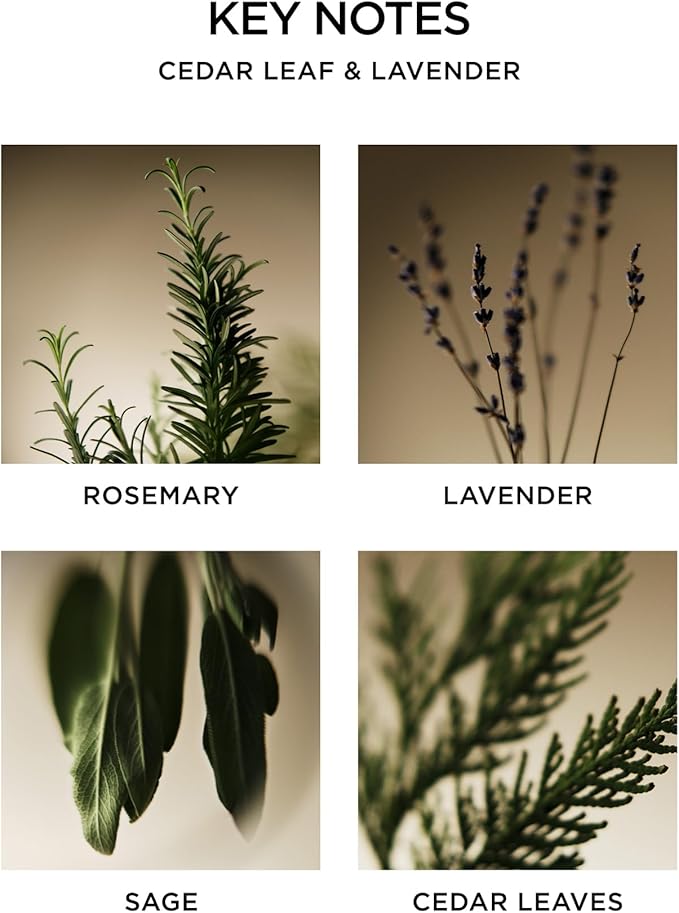 NEST New York Reed Diffuser, Cedar Leaf & Lavender - Image 4