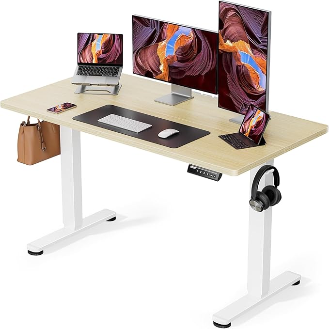 ErGear Height Adjustable Electric Standing Desk, 48 x 24 Inches Sit Stand up by ErGear