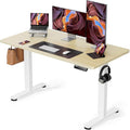 ErGear Height Adjustable Electric Standing Desk, 48 x 24 Inches Sit Stand up by ErGear