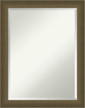 Amanti Art Bronze Bathroom Mirror by AmantiArt