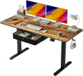BANTI 55x24 Inches Electric Standing Desk by Bantifurniture