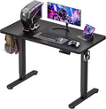 Standing Desk Electric Adjustable Computer Desk-Stand up Desk Office Gaming by Unknown