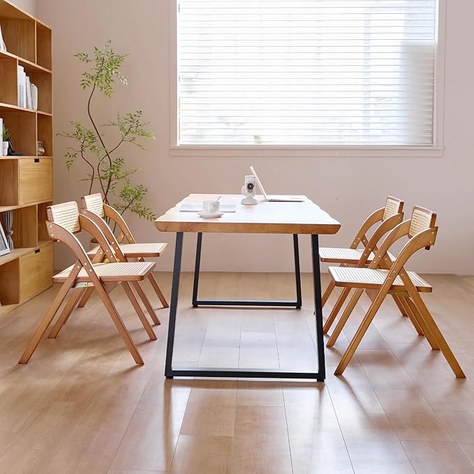 Simple Rattan Dining Chair Set of 2, Foldable Lounge Chair, Suitable - Image 3
