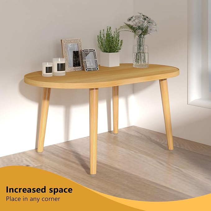 Oval Coffee Table Low Table - Image 9