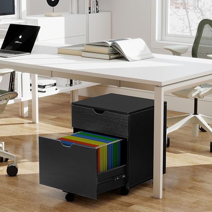 HollyHOME File Cabinet, 2 Drawers Filing Cabinet - Image 2