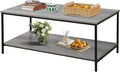 SENIG 2-Tier Coffee Table with Storage Shelf by SENIG