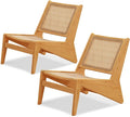 Rattan Chair 2Pcs, Mid Century Modern Accent Chair, Leisurely Reading Chair by Furlide