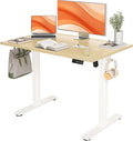 Seang Standing Desk with Adjustable Height, 40x24 Inch Electric Stand Up Desk by Unknown