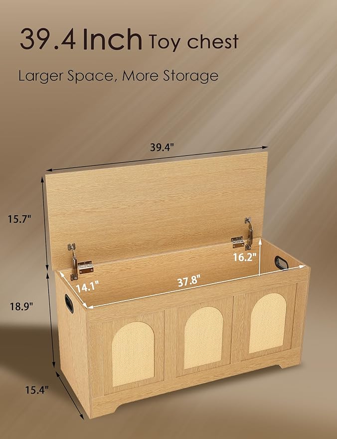 DINZI LVJ Storage Chest, 39.4" Rattan-Like Box - Image 3