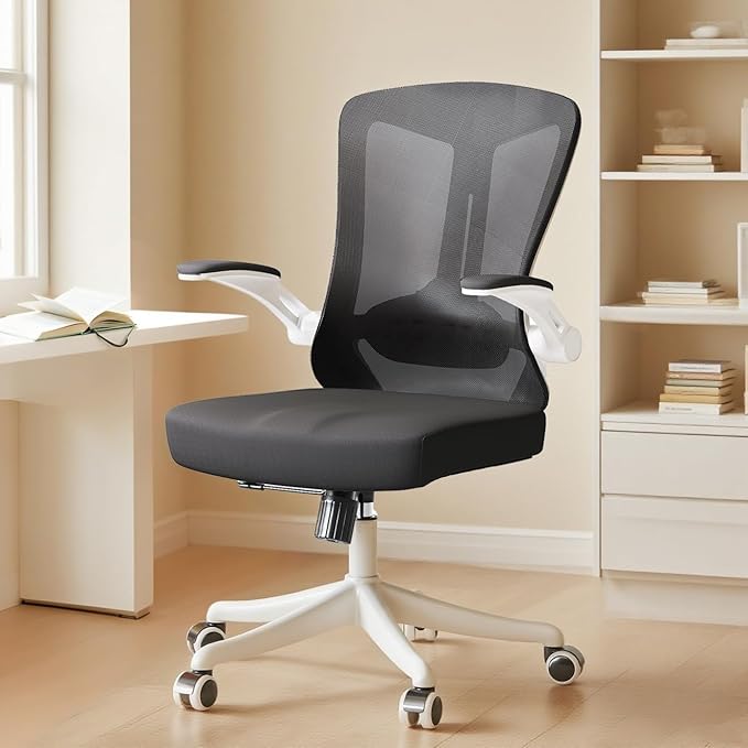 Ergonomic Office Chair by LaoJawBow
