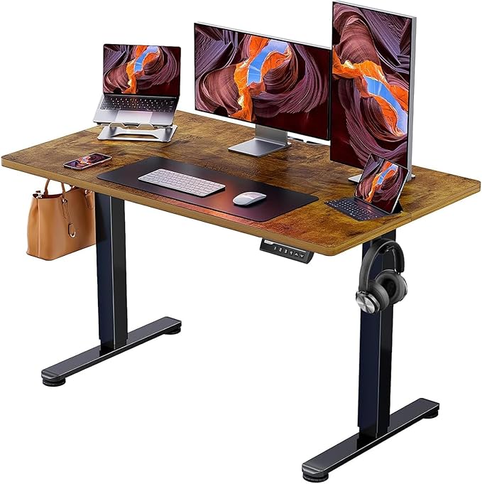 ErGear Height Adjustable Electric Standing Desk, 48 x 24 Inches Sit Stand up by ErGear