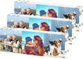 HELPLEX Acrylic Frame, 3 Pack 2x6 Acrylic Picture Frames, 20mm Thicker by HELPLEX