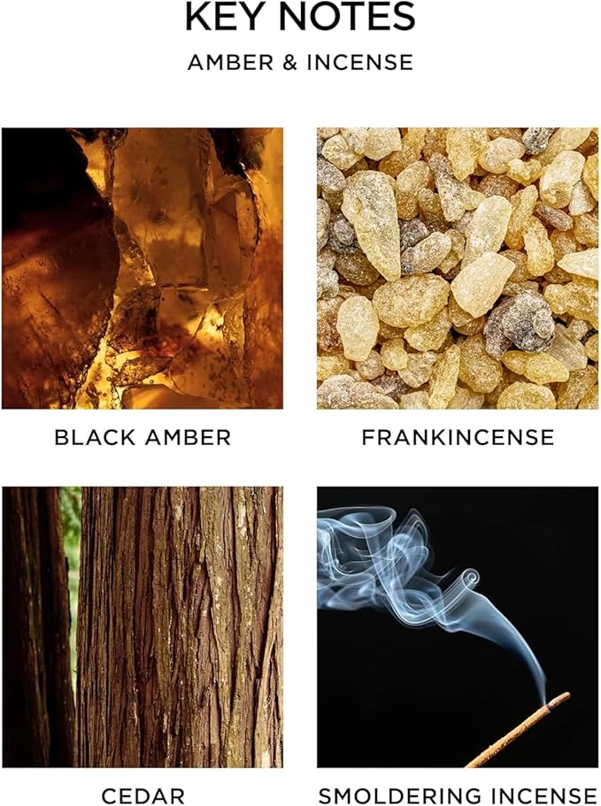 NEST New York Reed Diffuser, Amber & Incense - Image 3