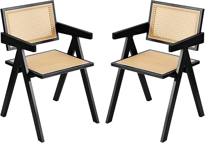 Tiita Rattan Accent Chairs, Mid Century Modern Dining Chairs Set of 2, Bamboo by TiitaHome
