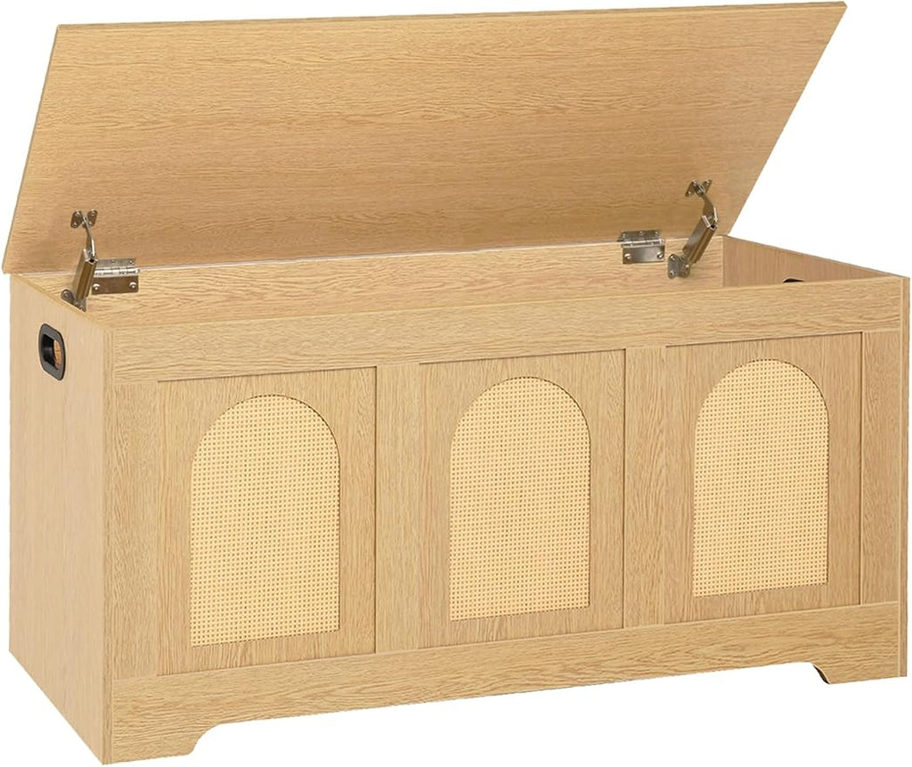 DINZI LVJ Storage Chest, 39.4" Rattan-Like Box by DINZILVJ