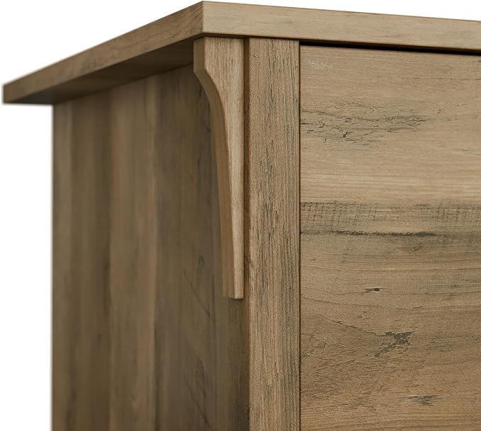 Bush Furniture Salinas Accent Storage Cabinet - Image 6