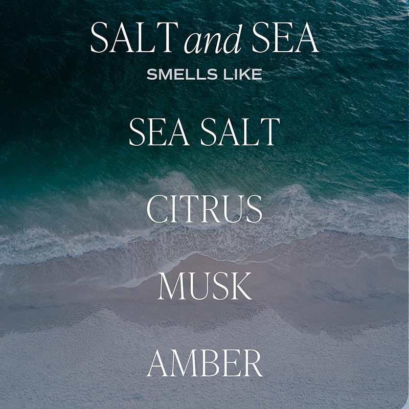 Sweet Water Decor Salt and Sea Reed Diffuser – Room Decor Aesthetic - Image 2