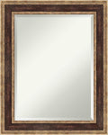Amanti Art Bronze Bathroom Mirror by AmantiArt