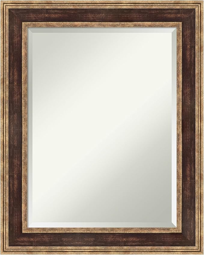 Amanti Art Bronze Bathroom Mirror by AmantiArt