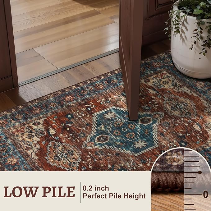 Tangsoo Washable Entryway Rugs 2x3 Vintage Non Slip Small Area Rug, Indoor - Image 5