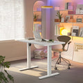 HUANUO 55 x 28 inch Electric Standing Desk Adjustable Height, 4 Memory Height by HUANUO