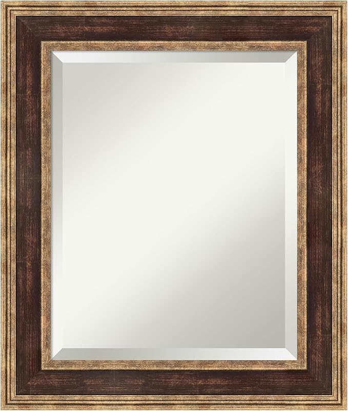 Amanti Art Bronze Bathroom Mirror by AmantiArt