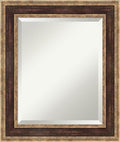 Amanti Art Bronze Bathroom Mirror by AmantiArt