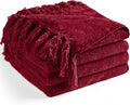 Chenille Throw Blanket for Couch 50"X 60", Soft Cozy Throws by LONGCREATE