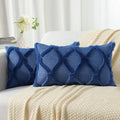 decorUhome Throw Pillow Covers 12x20 Inch Set of 2, Soft Plush Faux Fur Wool by decorUhome
