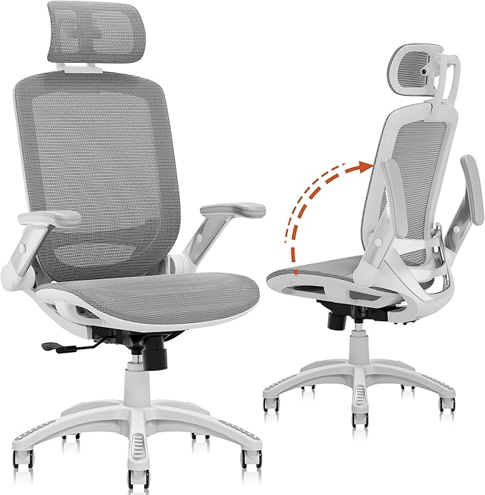 GABRYLLY Ergonomic Office Chair, High Back Home Desk Chair by GABRYLLY