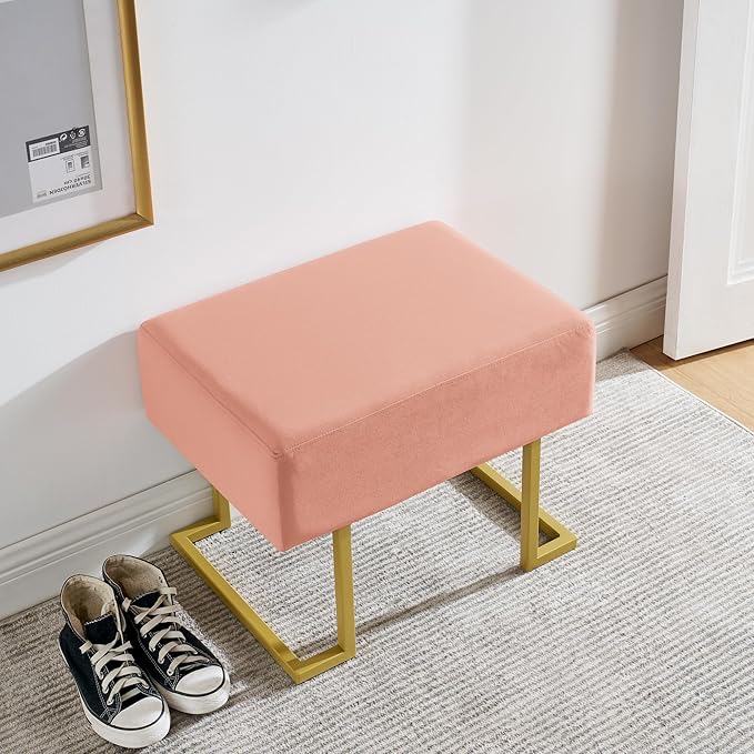 Modern Style Bedroom Single Seat Bench, Cushioned Bed end Stool, Living Room - Image 3