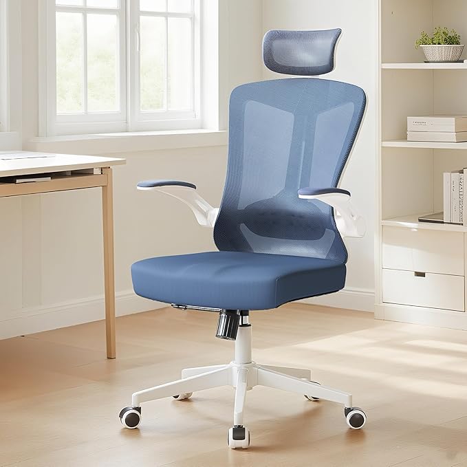 Ergonomic Office Chair by LaoJawBow