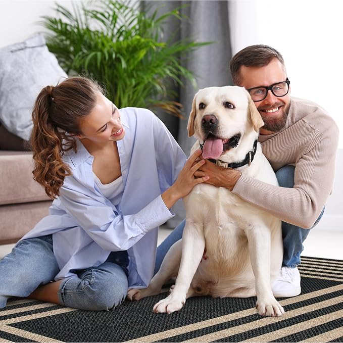 Lahome Modern Geometric Easy Jute Outdoor Rug, 3x5 Black Indoor Outdoor Carpet - Image 6