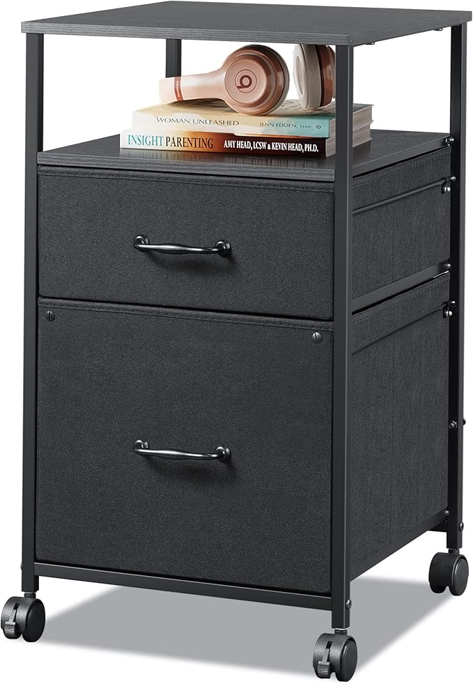 DEVAISE Mobile File Cabinet, Rolling Printer Stand by DEVAISE