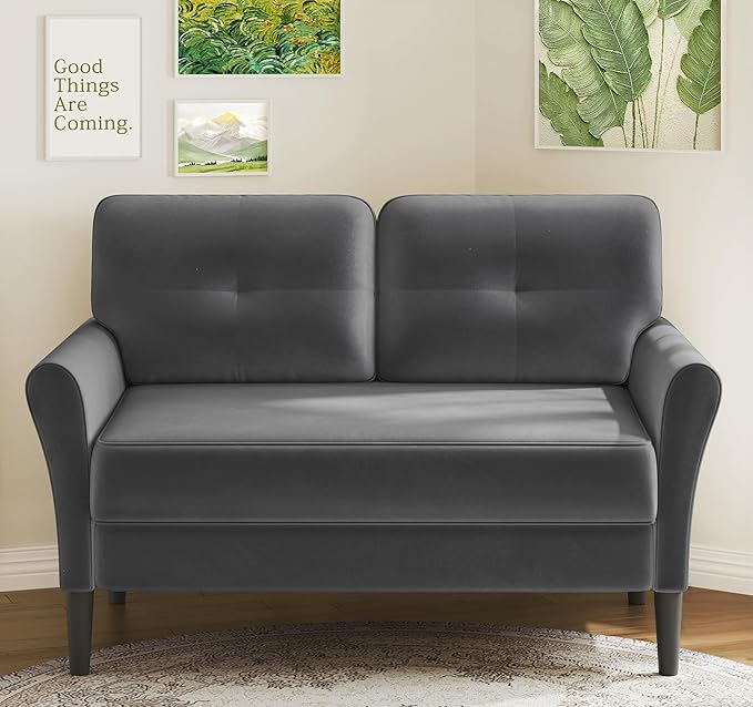 Small Sofa Couch, Soft Velvet Love Seat Couches, Small Couch by Kidirect