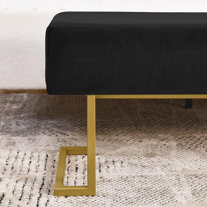 Modern Style Bedroom Double Seat Bench, Cushioned Bed end Stool, Living Room - Image 5