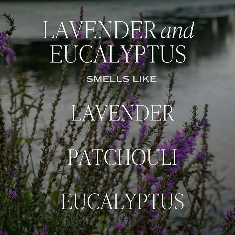 Sweet Water Decor Lavender and Eucalyptus Reed Diffuser – Room Decor Aesthetic - Image 2