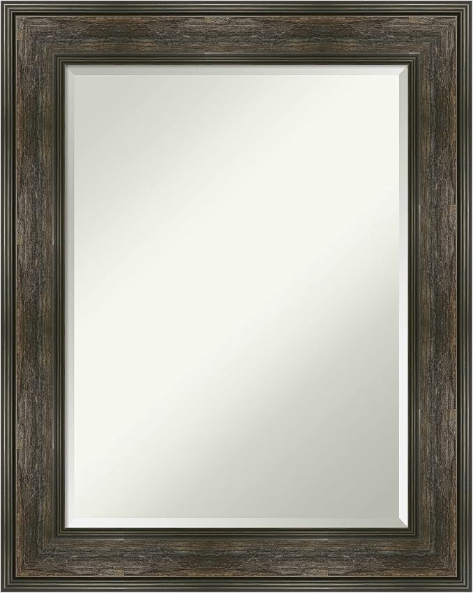 Amanti Art Brown Wall Mirror 30x24 Rail Rustic Char Rectangle Bathroom Mirror by AmantiArt