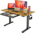 YDN Standing Desk with Drawers, Electric Adjustable Height 48 x 24 Inch Stand by YDN