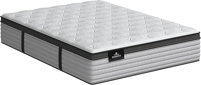Kingsdown Passions Aspiration 14.75" Pillow Top Mattress Queen - Image 3
